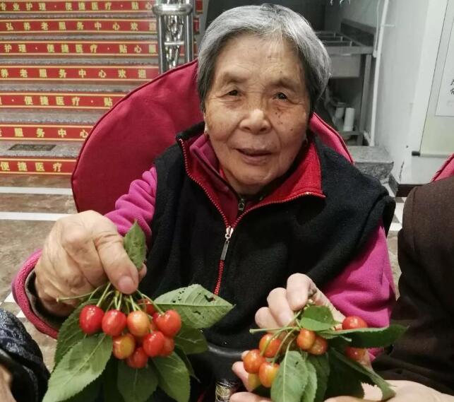 康弘医院·养老中心:品樱游园,圆梦诗乡